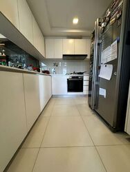 The Lakefront Residences (D22), Condominium #507588941